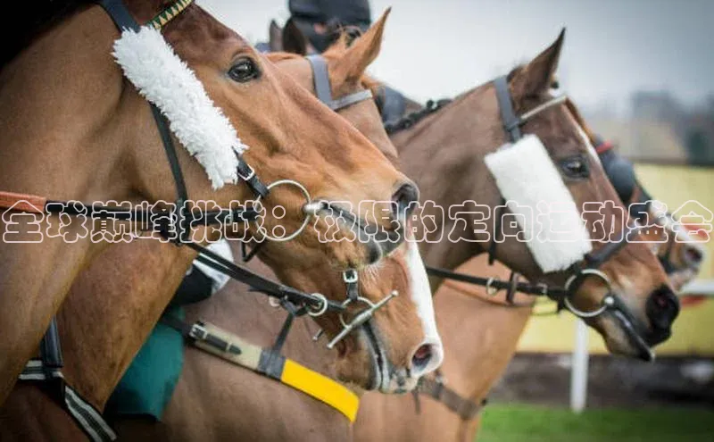 门徒娱乐在线登录
