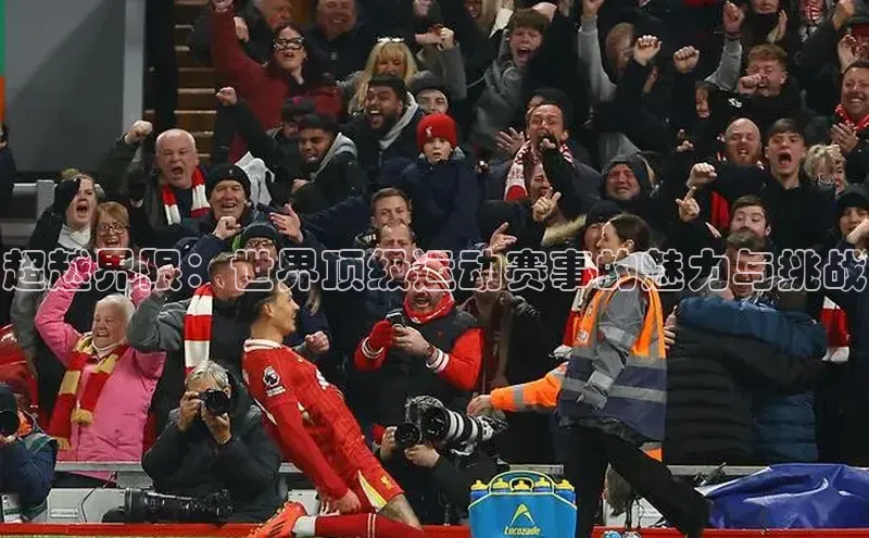 门徒娱乐在线登录